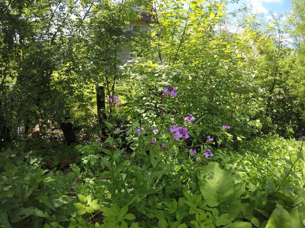 Willa Sunshine Zakopane Chalet Dış mekan fotoğraf