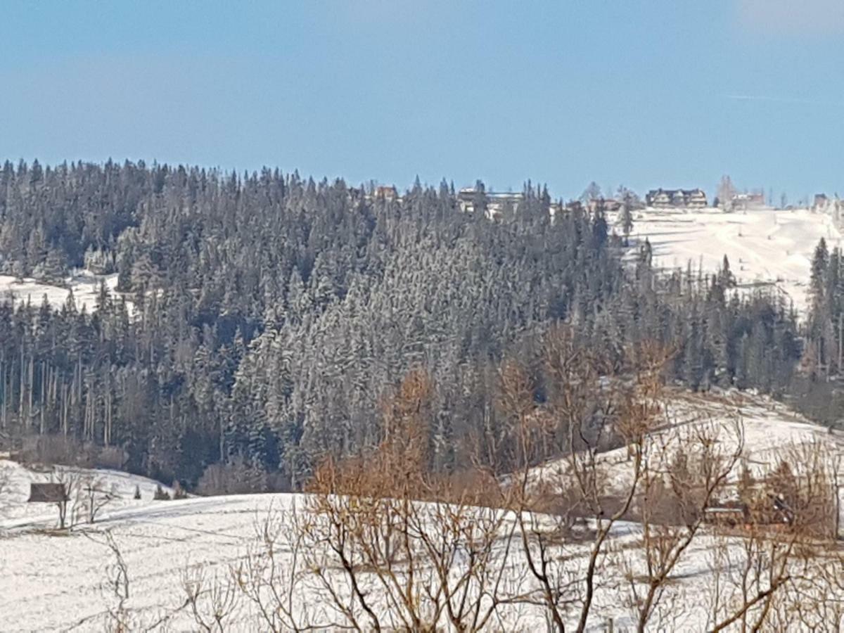 Willa Sunshine Zakopane Chalet Dış mekan fotoğraf